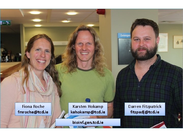 Fiona Roche fmroche@tcd. ie Karsten Hokamp kahokamp@tcd. ie bioinf. gen. tcd. ie Darren Fitzpatrick