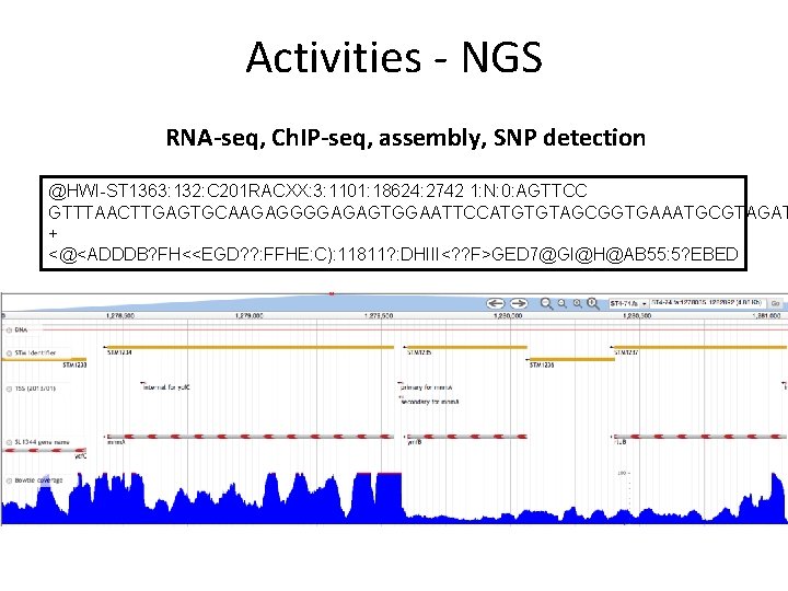 Activities - NGS RNA-seq, Ch. IP-seq, assembly, SNP detection @HWI-ST 1363: 132: C 201