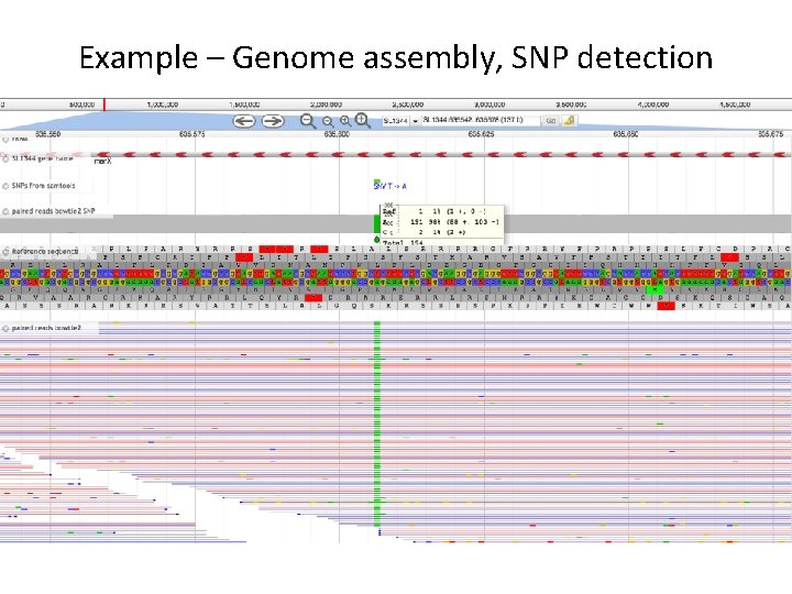 Example – Genome assembly, SNP detection 