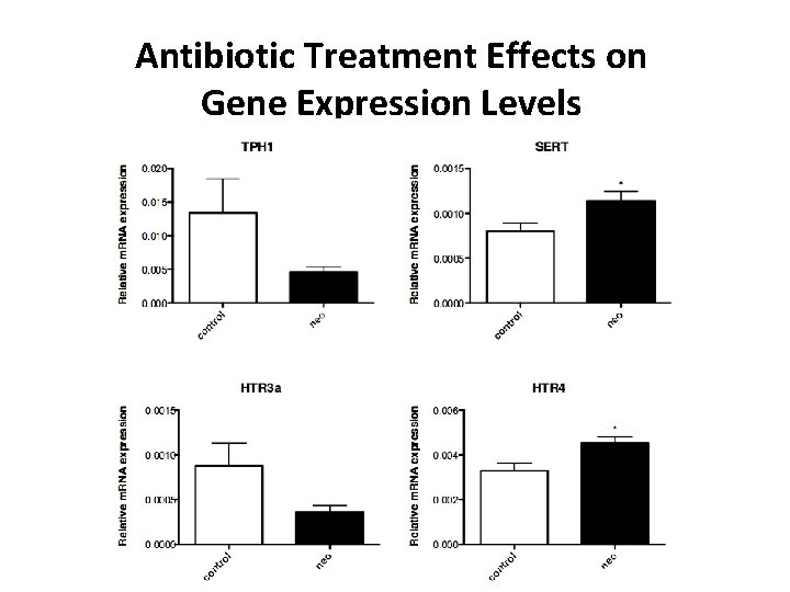 Antibiotic Treatment Effects on Gene Expression Levels 