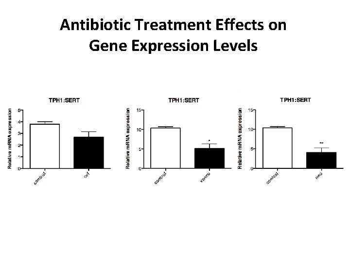 Antibiotic Treatment Effects on Gene Expression Levels 