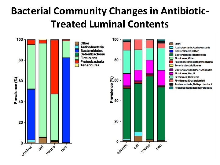 Bacterial Community Changes in Antibiotic. Treated Luminal Contents 