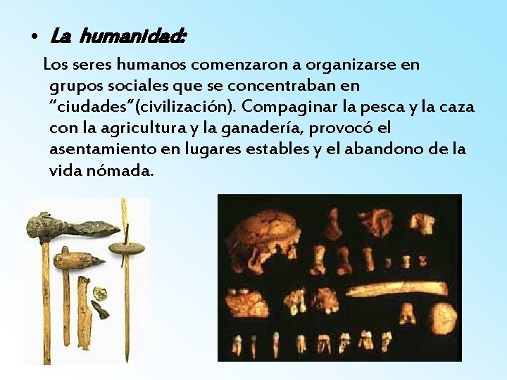  • La humanidad: Los seres humanos comenzaron a organizarse en grupos sociales que