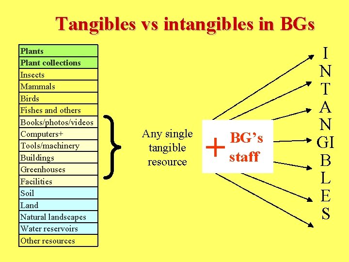 Tangibles vs intangibles in BGs Plant collections Insects Mammals Birds Fishes and others Books/photos/videos