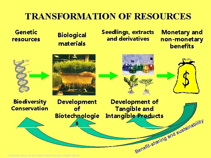 TRANSFORMATION OF RESOURCES Genetic resources Biodiversity Conservation Biological materials Monetary and non-monetary benefits Seedlings,