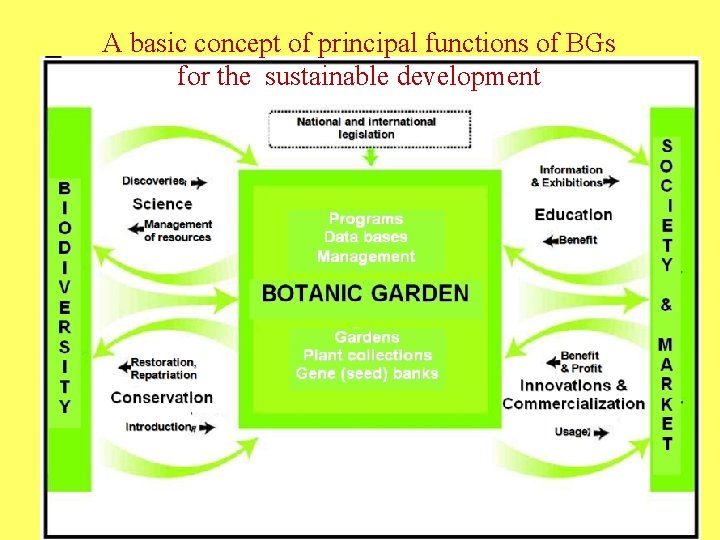 A basic concept of principal functions of BGs for the sustainable development 