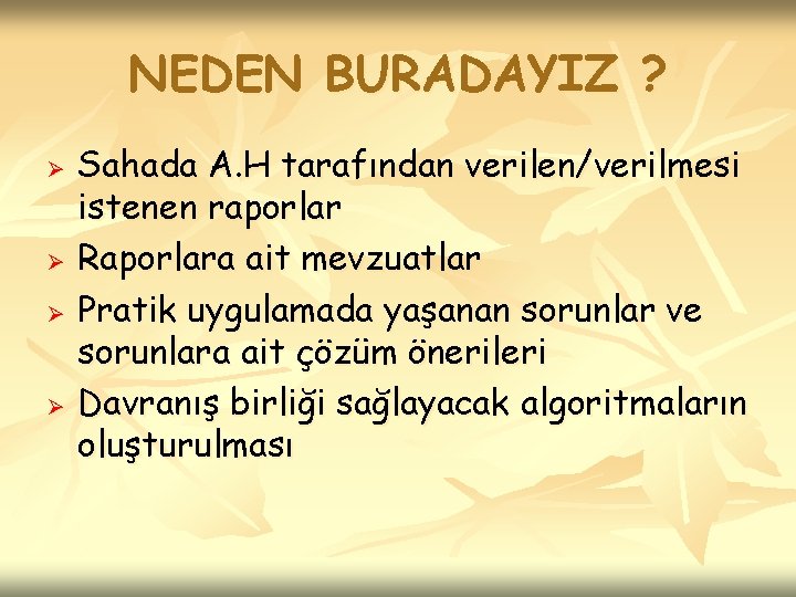 NEDEN BURADAYIZ ? Ø Ø Sahada A. H tarafından verilen/verilmesi istenen raporlar Raporlara ait