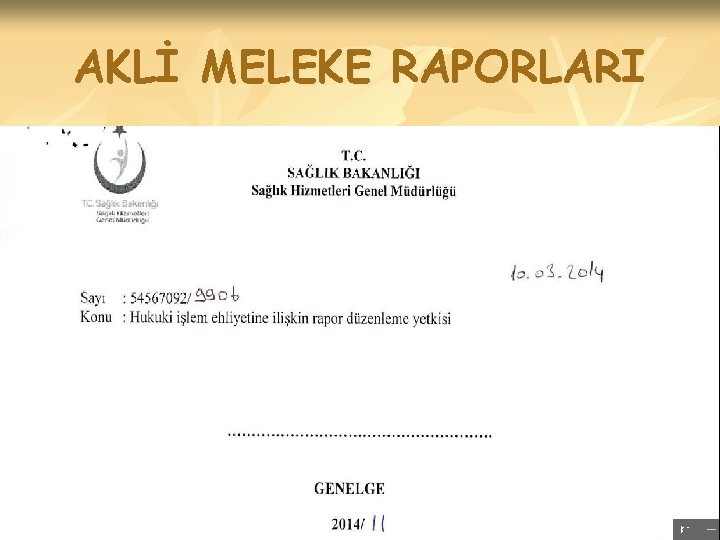 AKLİ MELEKE RAPORLARI 