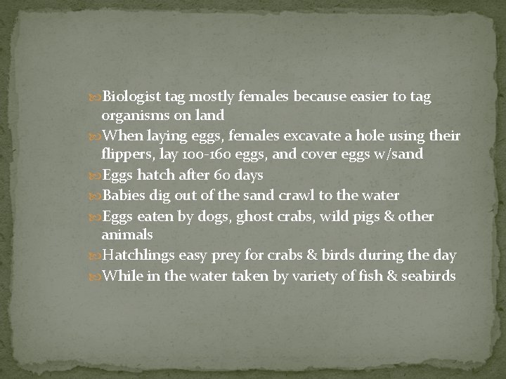  Biologist tag mostly females because easier to tag organisms on land When laying