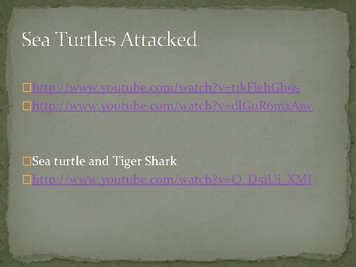 Sea Turtles Attacked �http: //www. youtube. com/watch? v=t 1 k. Fieh. Gh 9 s