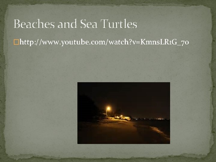Beaches and Sea Turtles �http: //www. youtube. com/watch? v=Kmns. LR 1 G_7 o 