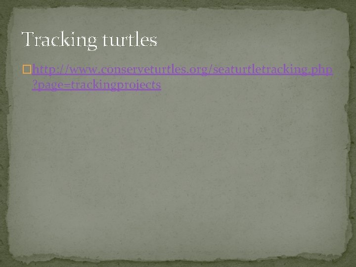 Tracking turtles �http: //www. conserveturtles. org/seaturtletracking. php ? page=trackingprojects 