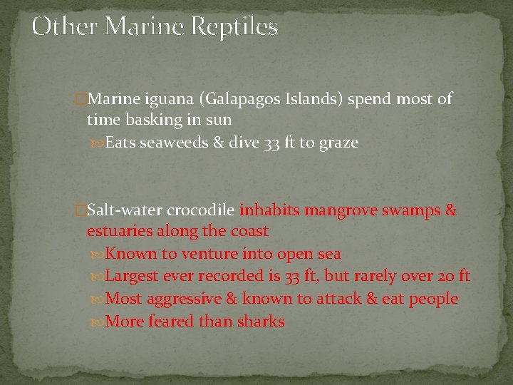 Other Marine Reptiles �Marine iguana (Galapagos Islands) spend most of time basking in sun