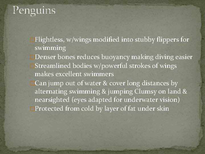 Penguins �Flightless, w/wings modified into stubby flippers for swimming �Denser bones reduces buoyancy making
