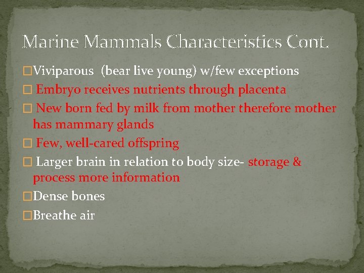 Marine Mammals Characteristics Cont. �Viviparous (bear live young) w/few exceptions � Embryo receives nutrients