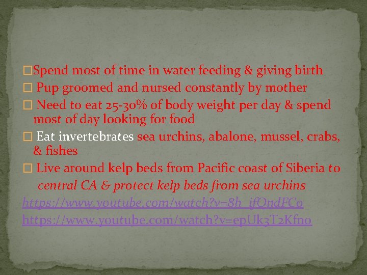 �Spend most of time in water feeding & giving birth � Pup groomed and
