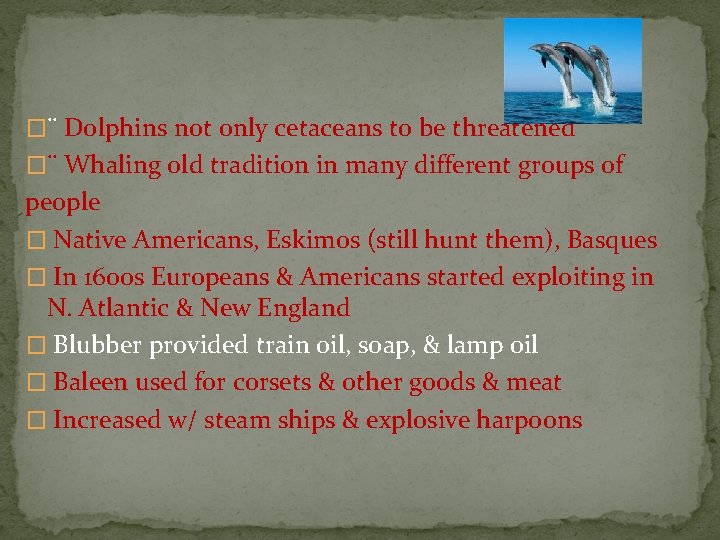 �¨ Dolphins not only cetaceans to be threatened �¨ Whaling old tradition in many