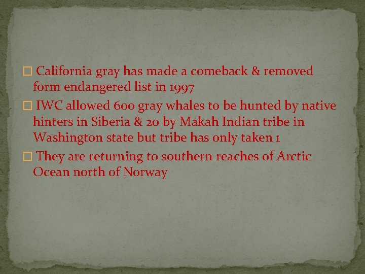 � California gray has made a comeback & removed form endangered list in 1997