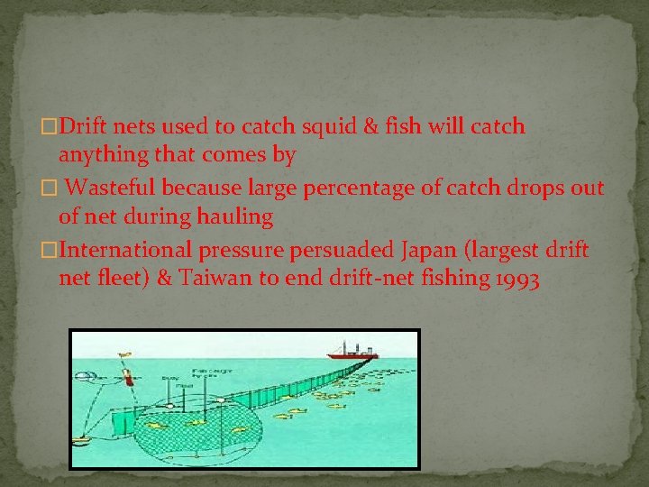 �Drift nets used to catch squid & fish will catch anything that comes by