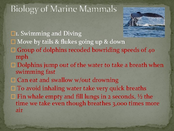 Biology of Marine Mammals � 1. Swimming and Diving � Move by tails &