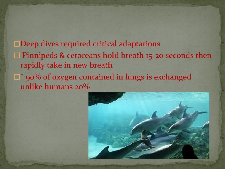 �Deep dives required critical adaptations � Pinnipeds & cetaceans hold breath 15 -20 seconds