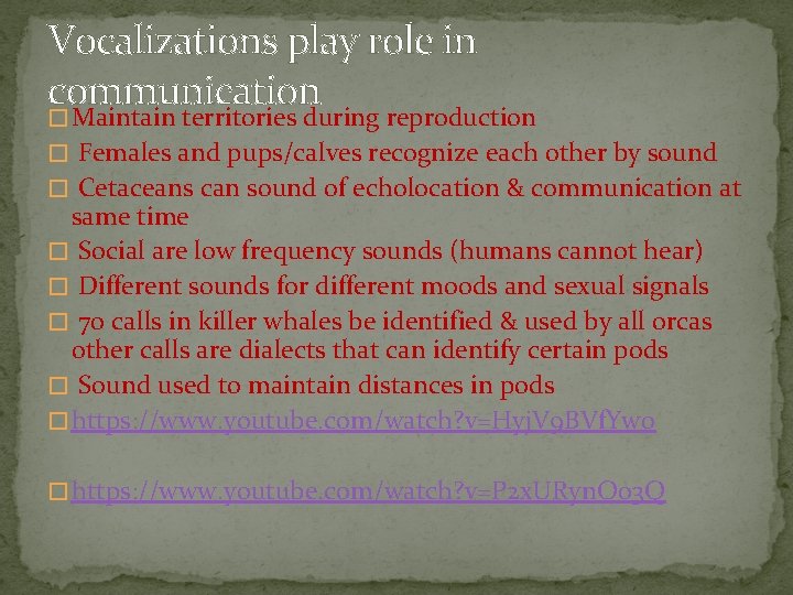 Vocalizations play role in communication � Maintain territories during reproduction � Females and pups/calves