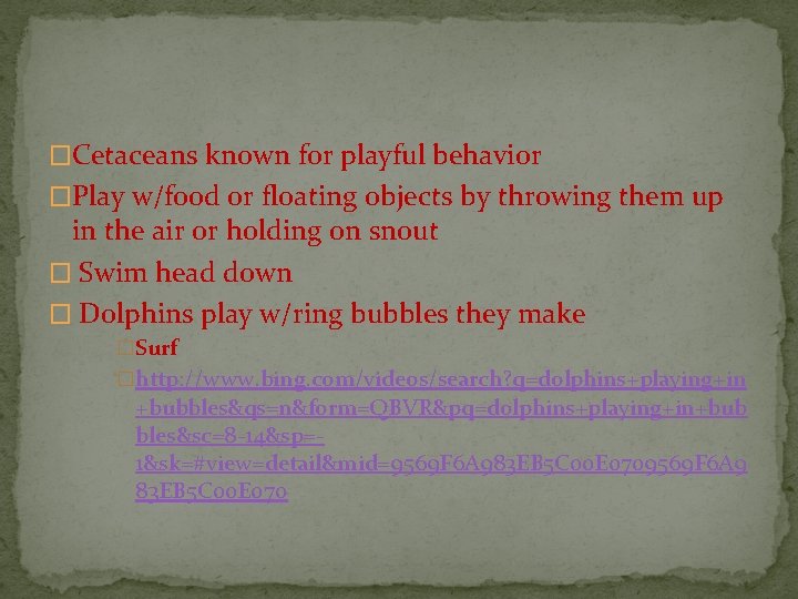 �Cetaceans known for playful behavior �Play w/food or floating objects by throwing them up