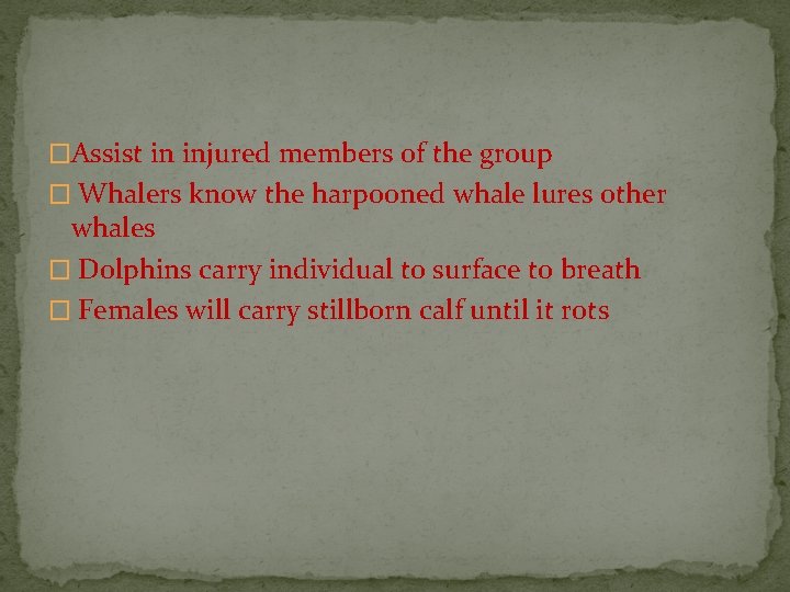 �Assist in injured members of the group � Whalers know the harpooned whale lures