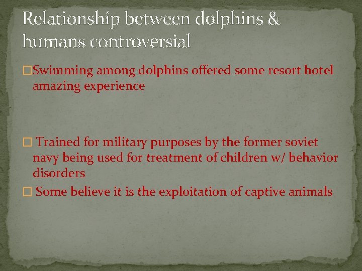 Relationship between dolphins & humans controversial �Swimming among dolphins offered some resort hotel amazing