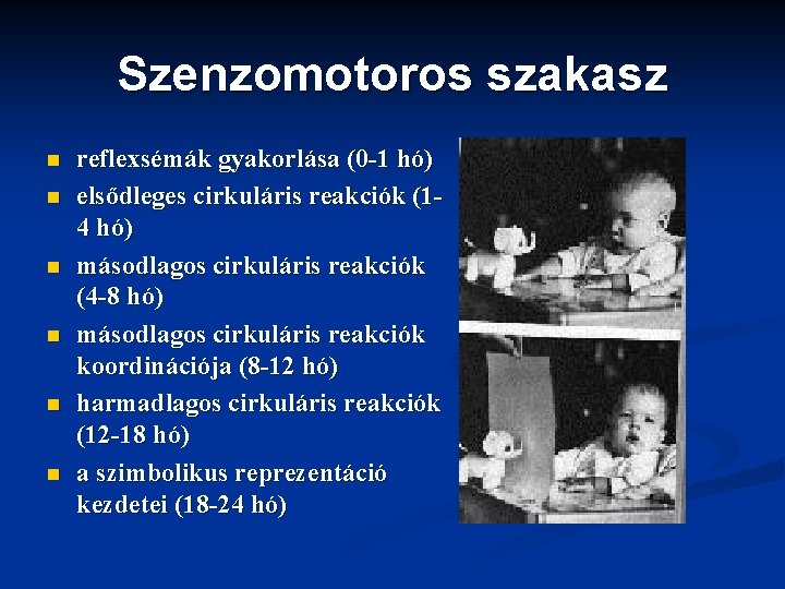 Szenzomotoros szakasz n n n reflexsémák gyakorlása (0 -1 hó) elsődleges cirkuláris reakciók (14