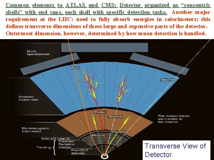 Common elements to ATLAS and CMS: Detector organized as “concentric shells” with end caps,