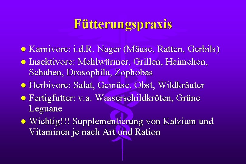 Fütterungspraxis Karnivore: i. d. R. Nager (Mäuse, Ratten, Gerbils) l Insektivore: Mehlwürmer, Grillen, Heimchen,