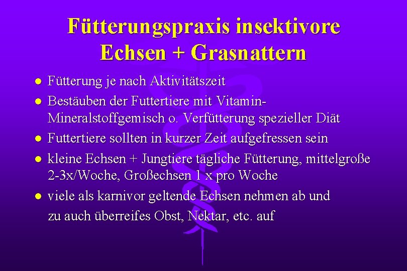 Fütterungspraxis insektivore Echsen + Grasnattern l l l Fütterung je nach Aktivitätszeit Bestäuben der