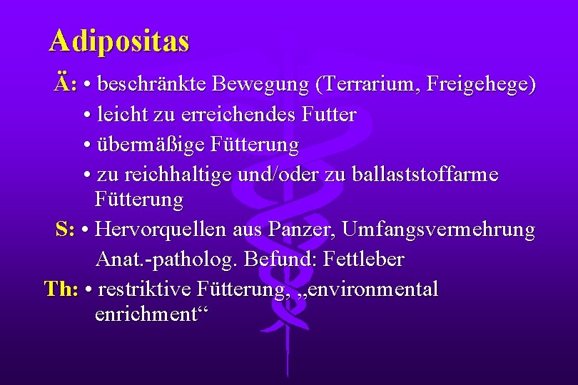 Adipositas Ä: • beschränkte Bewegung (Terrarium, Freigehege) • leicht zu erreichendes Futter • übermäßige