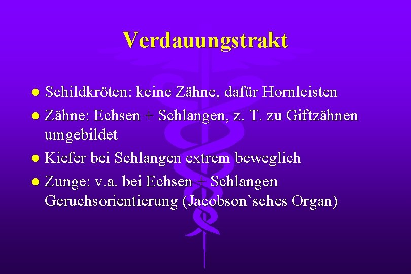 Verdauungstrakt Schildkröten: keine Zähne, dafür Hornleisten l Zähne: Echsen + Schlangen, z. T. zu