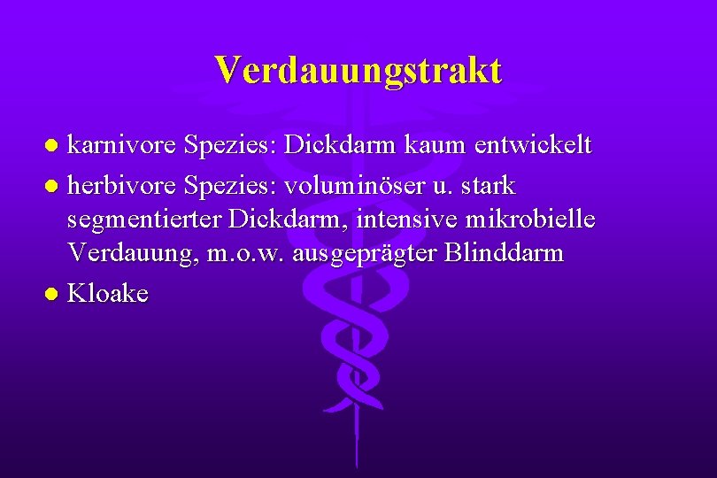 Verdauungstrakt karnivore Spezies: Dickdarm kaum entwickelt l herbivore Spezies: voluminöser u. stark segmentierter Dickdarm,