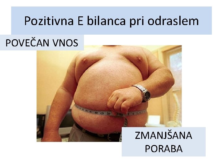 Pozitivna E bilanca pri odraslem POVEČAN VNOS ZMANJŠANA PORABA 