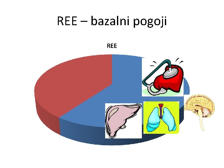 REE – bazalni pogoji 