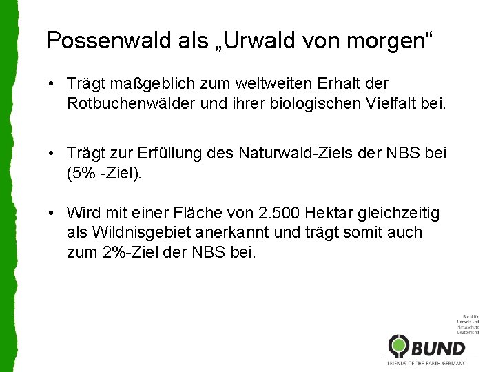 Possenwald als „Urwald von morgen“ • Trägt maßgeblich zum weltweiten Erhalt der Rotbuchenwälder und