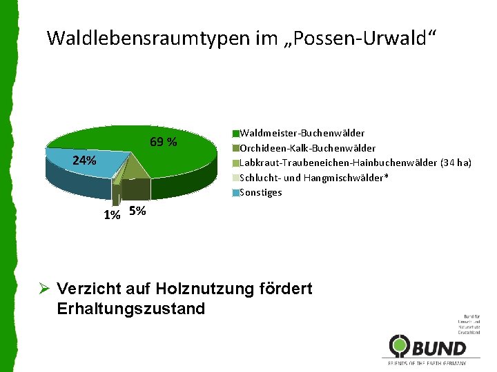 Waldlebensraumtypen im „Possen-Urwald“ 69 % 24% Waldmeister-Buchenwälder Orchideen-Kalk-Buchenwälder Labkraut-Traubeneichen-Hainbuchenwälder (34 ha) Schlucht- und Hangmischwälder*