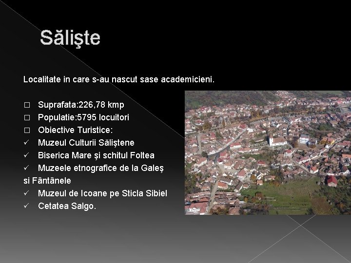 Sălişte Localitate in care s-au nascut sase academicieni. Suprafata: 226, 78 kmp � Populatie: