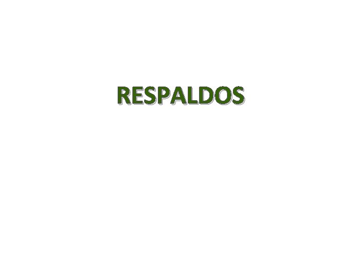 RESPALDOS 