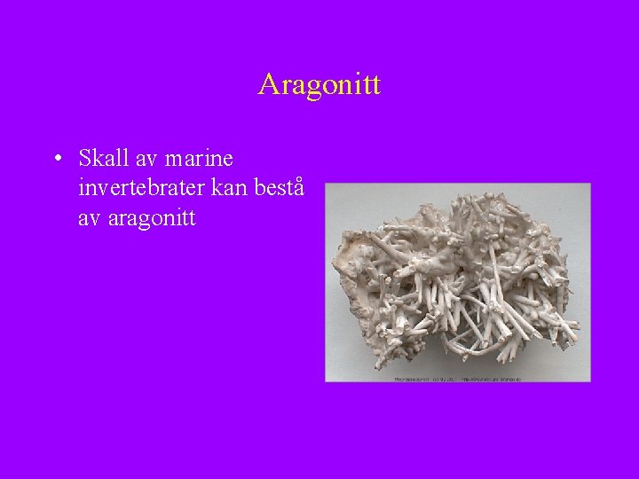 Aragonitt • Skall av marine invertebrater kan bestå av aragonitt 