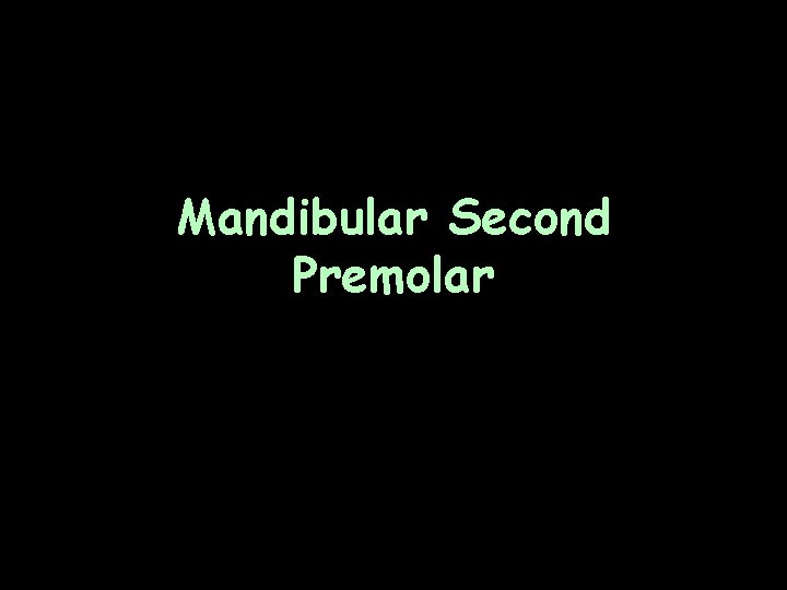 Mandibular Second Premolar 