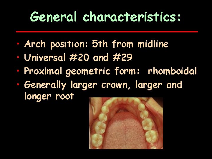 General characteristics: • • Arch position: 5 th from midline Universal #20 and #29