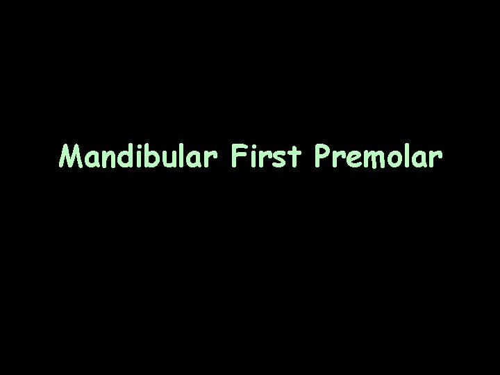 Mandibular First Premolar 