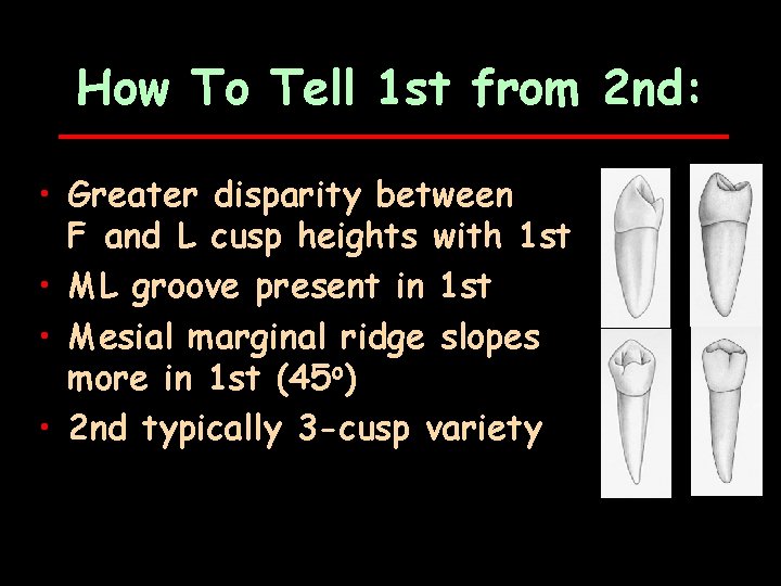 How To Tell 1 st from 2 nd: • Greater disparity between F and
