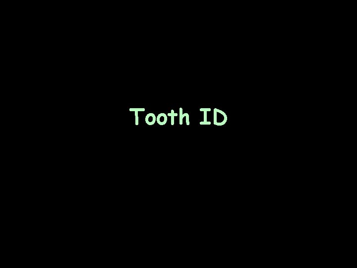 Tooth ID 