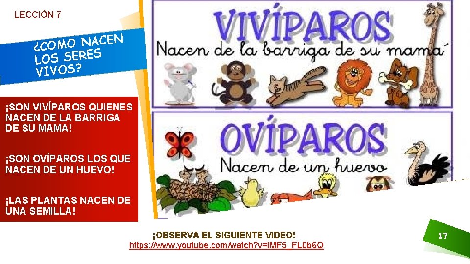 LECCIÓN 7 N E C A N O ¿COM S LOS SERE VIVOS? ¡SON