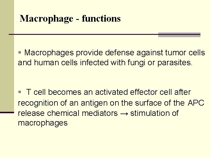 Macrophage - functions § Macrophages provide defense against tumor cells and human cells infected